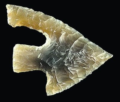 UK dig discovers 9,000-year-old remains